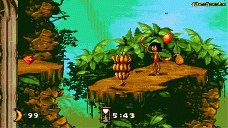 Игры Джунгли Игры Джунгли