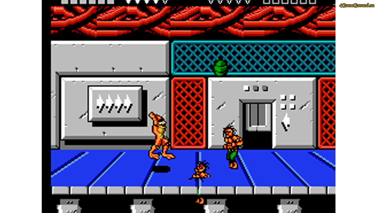 Боевые Жабы и Double Dragon игра на двоих в браузере